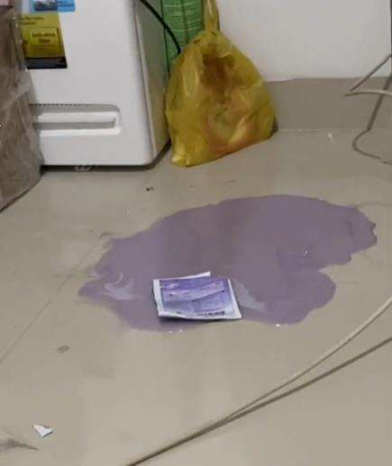 Bikin puding ala anak kos pakai magic com malah berubah jadi seperti slime.