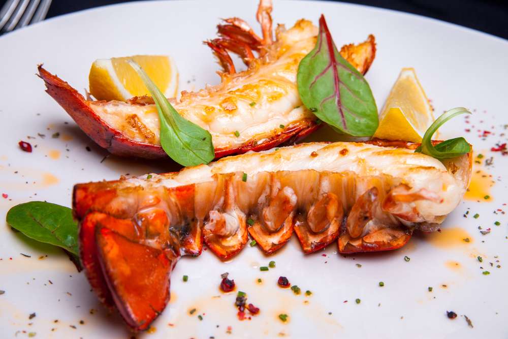lobster