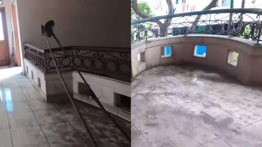 Intip Potret Rumah Tiko dan Ibu Eny setelah Dibersihkan