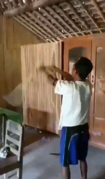 Viral bapak-bapak tangkap ular kobra seperti main lato-lato.