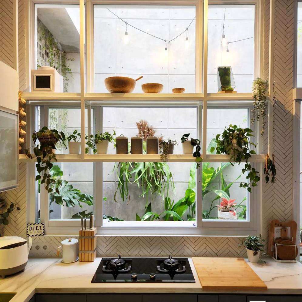 Dapur tanan