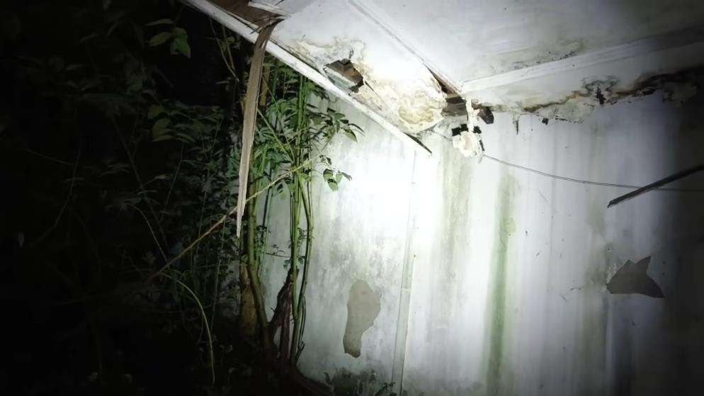 Rumah mewah terbengkalai milik Pak Harto di Bandung.