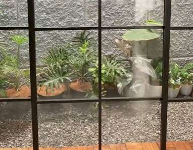 Taman