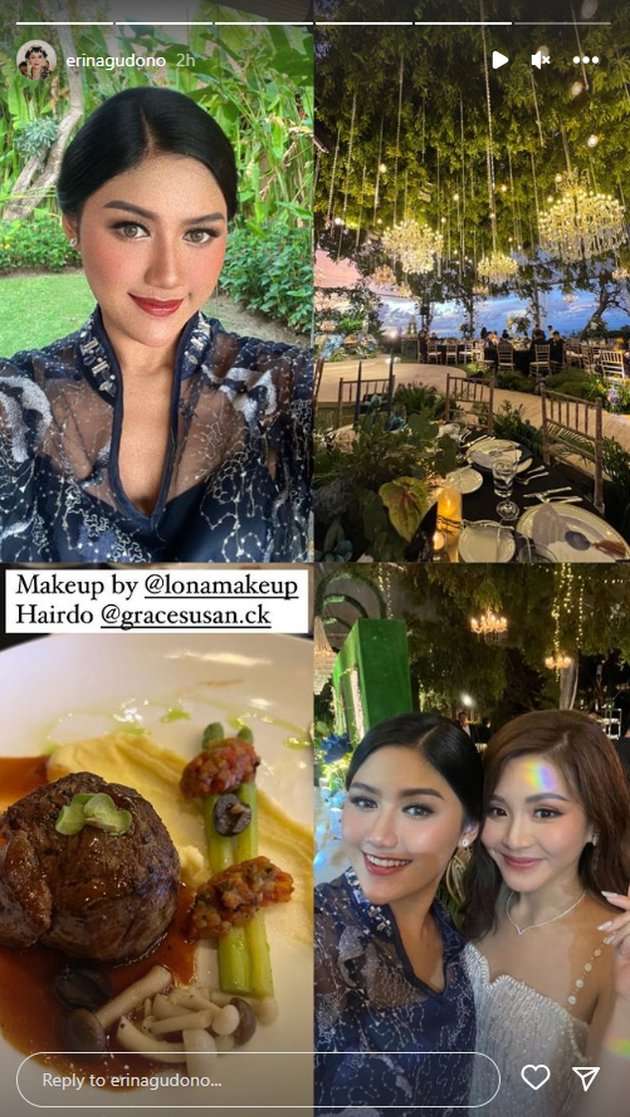 Instagram Story @erinagudono
