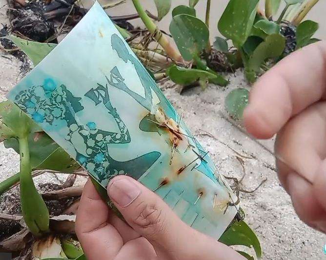 Temuan aneh di Danau Toba, diduga santet.