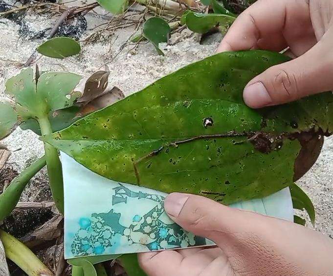 Temuan aneh di Danau Toba, diduga santet.