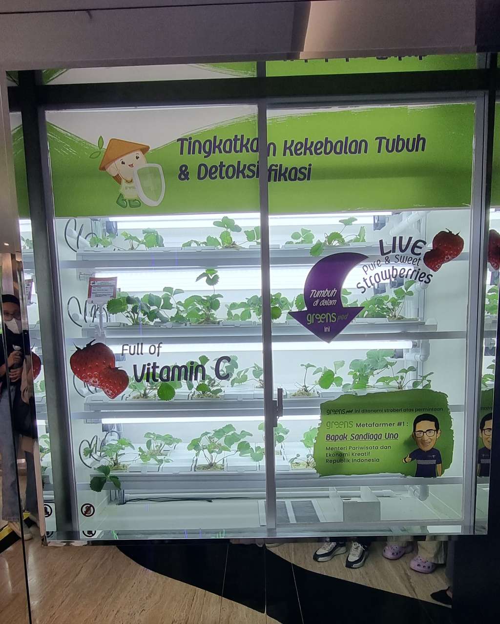 Greens Indonesia