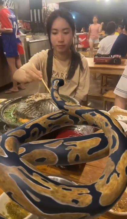 Gadis makan malam ditemani ular piton raksasa.