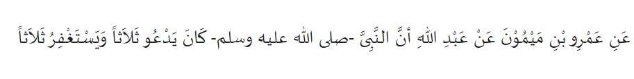 Amr bin Maimun