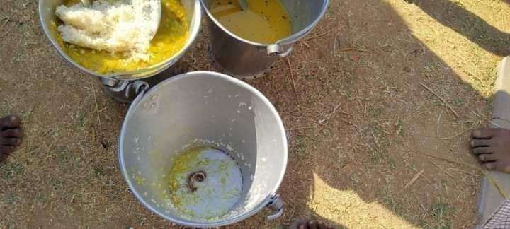 Viral siswa SD keracunan makanan mengandung ular.