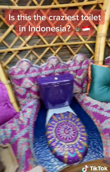 Bule Pamer Toilet Super Estetik di Bali, Ada Sofa dan Karpet Bulu
