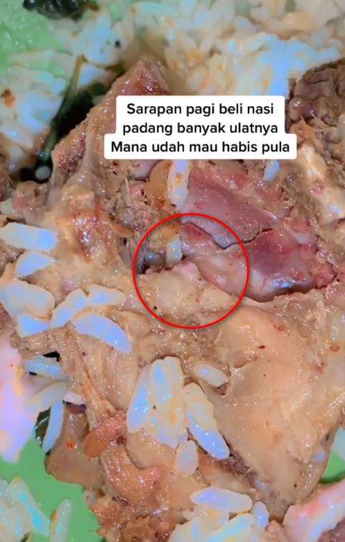 Sarapan nasi Padang malah temukan belatung di lauk ayamnya.