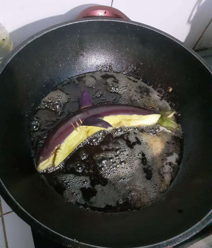 Terong hiu