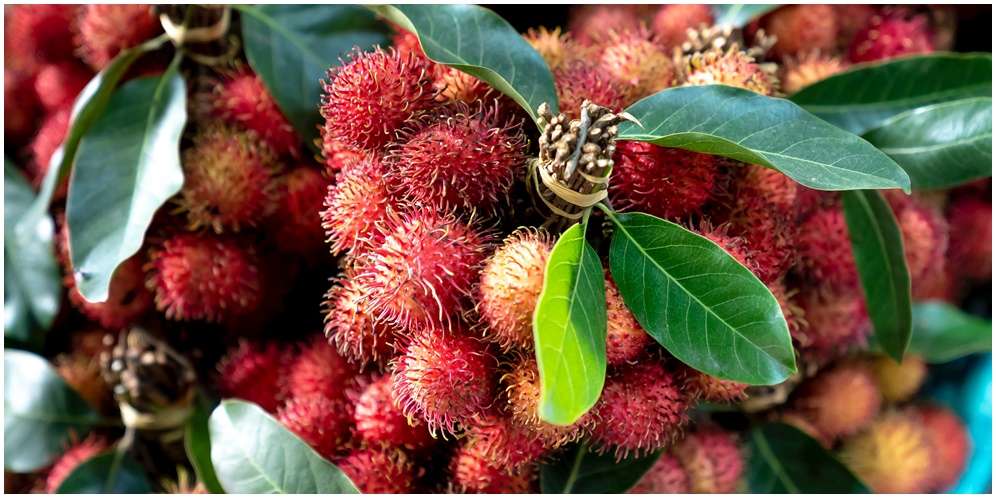 Arti Mimpi Makan Buah