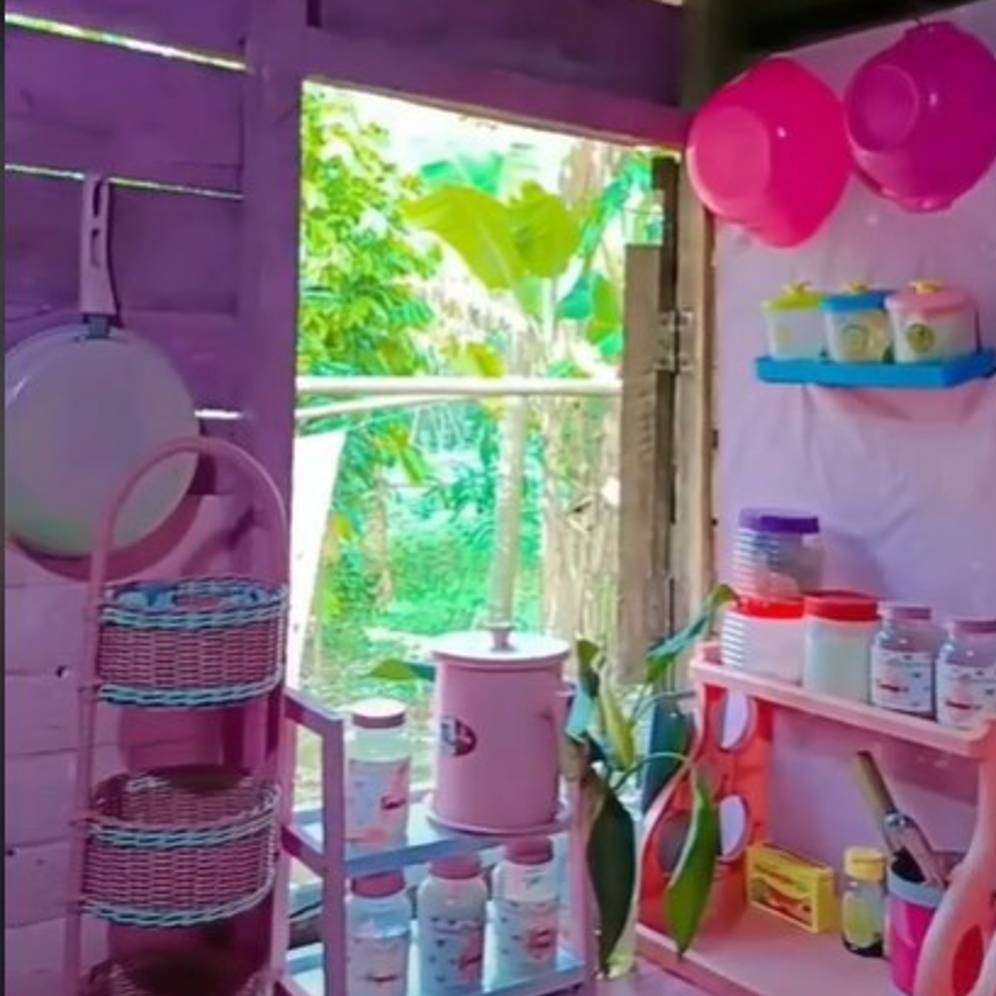 Dapur pink