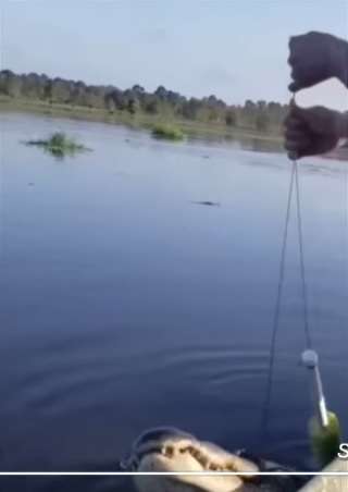 Pria Memancing Lele Justru Bertemu Hewan Ini Pria Memancing Lele Justru Bertemu Hewan Ini