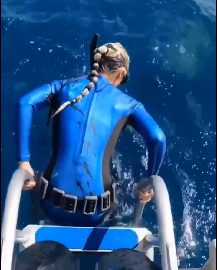 Bersiap Lompat ke Laut untuk Snorkeling, Hiu Besar Muncul ke Permukaan