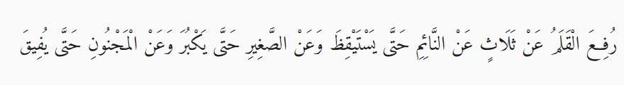 Imam Nawawi