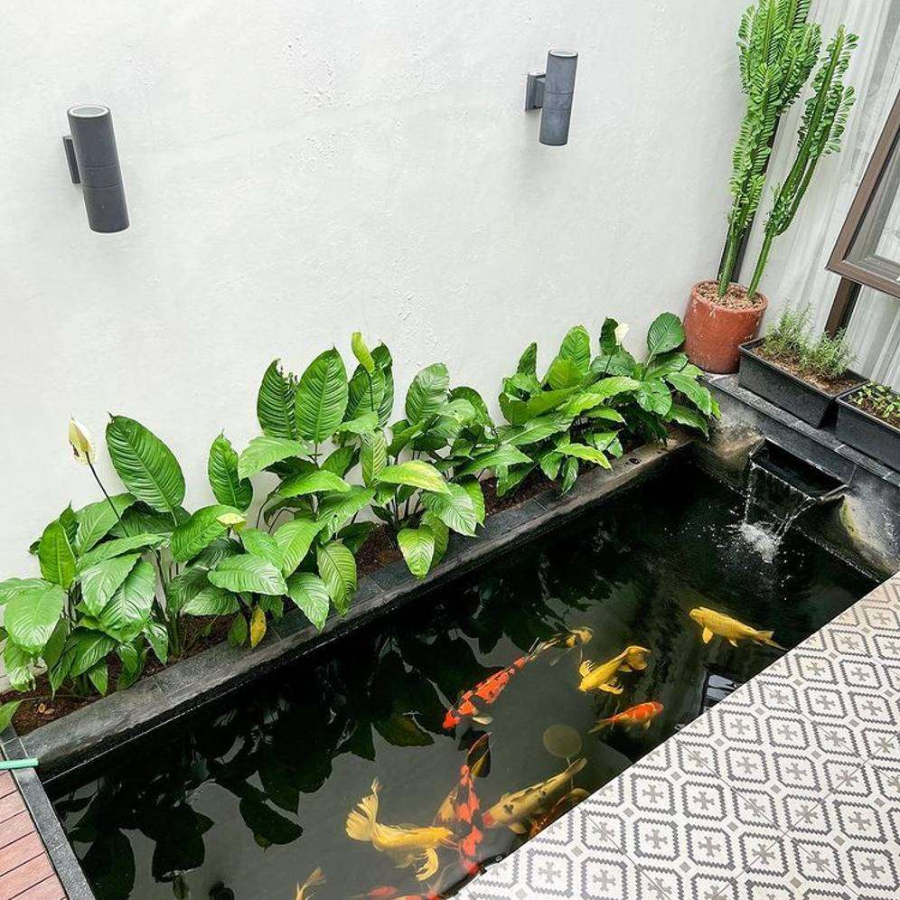 Teras kolam