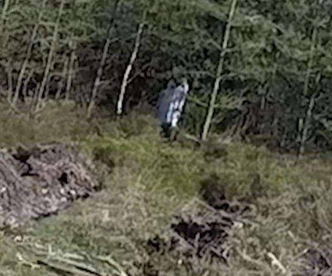 Penampakan penunggu hutan angker di Inggris.