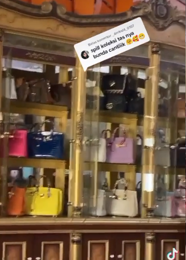 Viral Kades Pamer Tas Mewah, Ternyata Mantan Artis