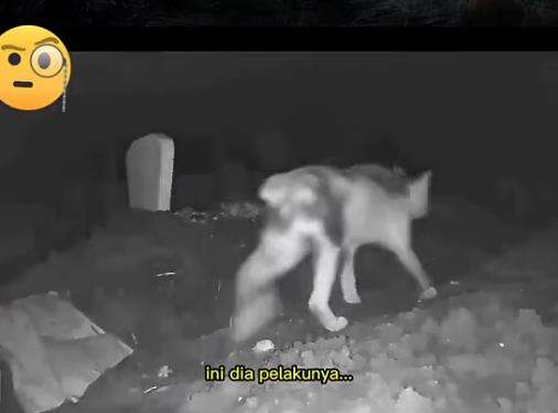 Rekaman CCTV kuburan malam hari