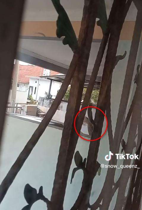Jendela rumah basah oleh cairan hitam berbau busuk.