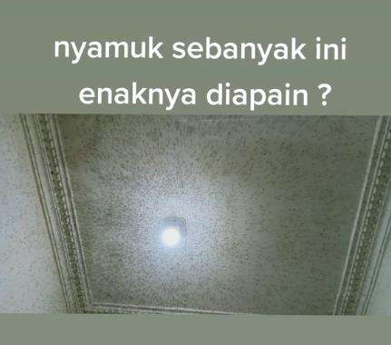 Serangan pasukan nyamuk.