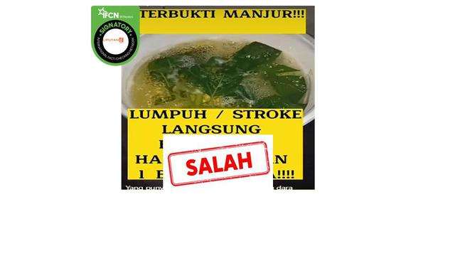 Cek Fakta: Rebusan Daun Ciplukan Bisa Sembuhkan Stroke