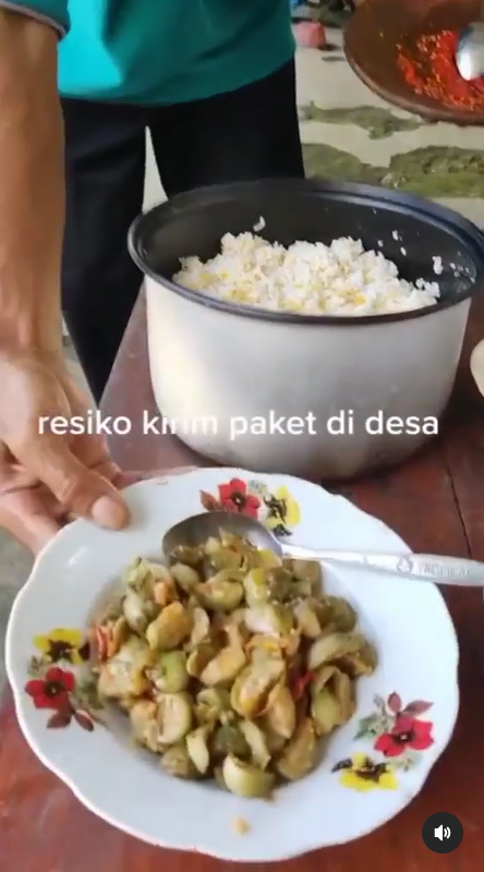 video instagram