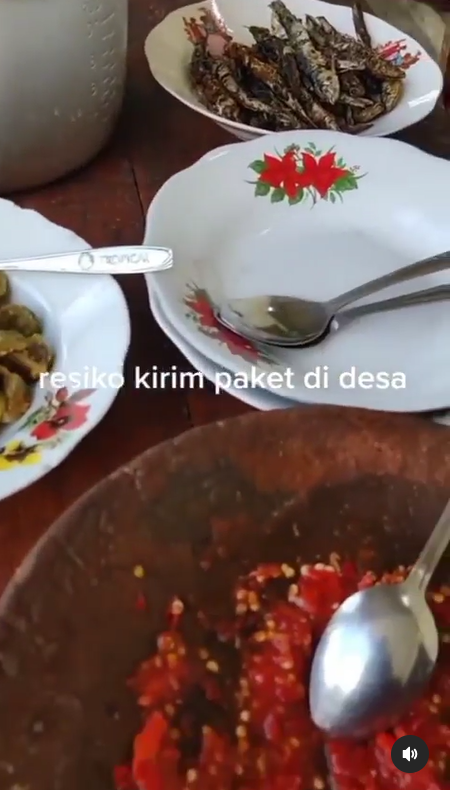video instagram
