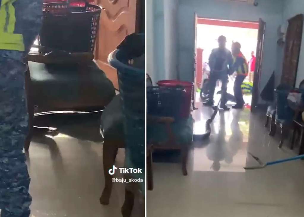 Momen mendebarkan ular piton raksasa segede paha manusia jatuh dari plafon rumah.