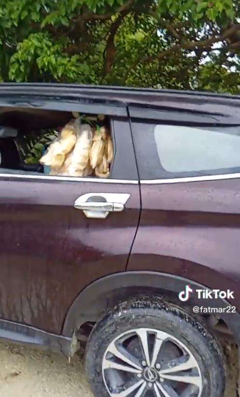 Viral Daihatsu Terios di Papua dipakai buat jualan sayur keliling.