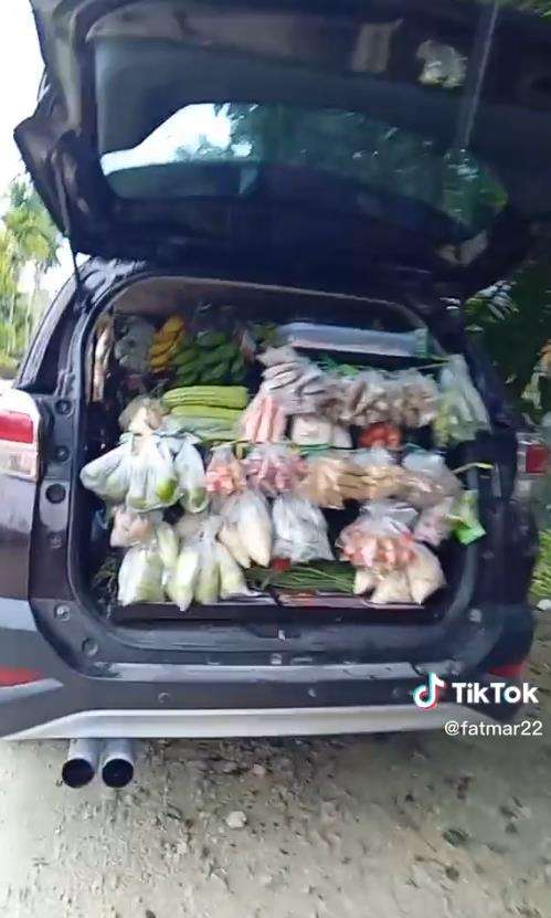 Viral Daihatsu Terios di Papua dipakai buat jualan sayur keliling.