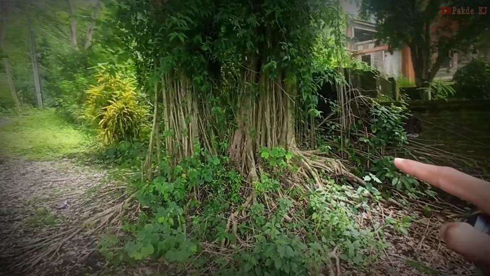 Villa terbengkalai di Bantul, Jawa Tengah.