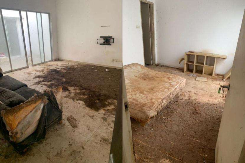 Penyewa tak bertanggungjawab, biarkan rumah penuh kotoran kucing.
