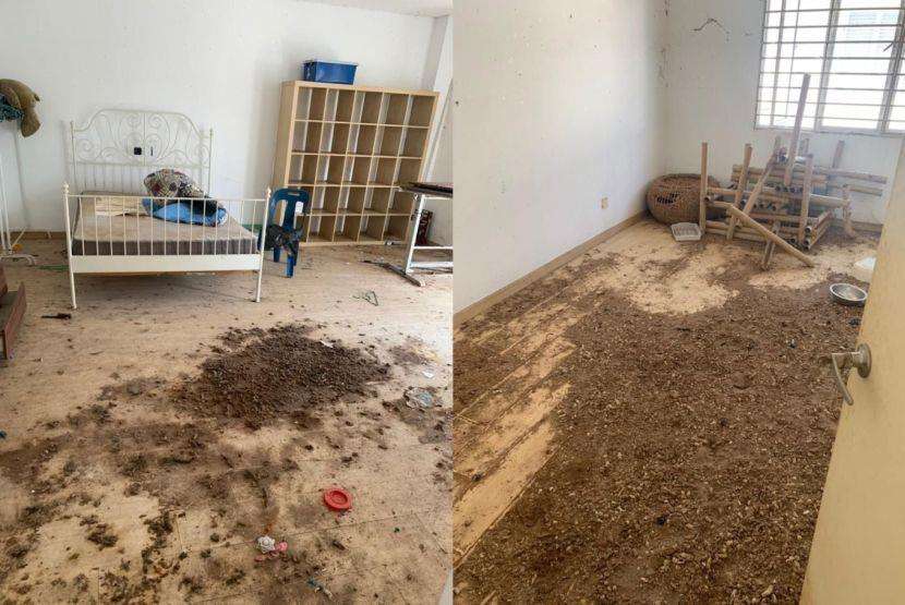Penyewa tak bertanggungjawab, biarkan rumah penuh kotoran kucing.
