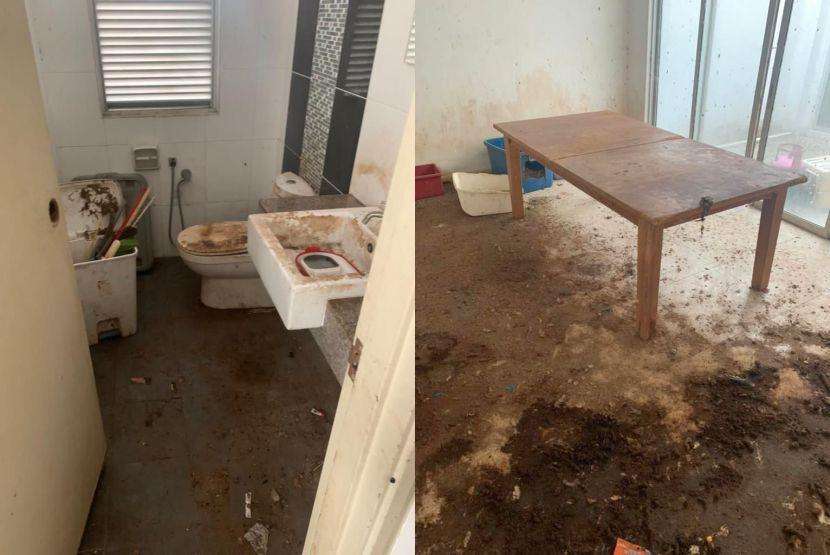 Penyewa tak bertanggungjawab, biarkan rumah penuh kotoran kucing.