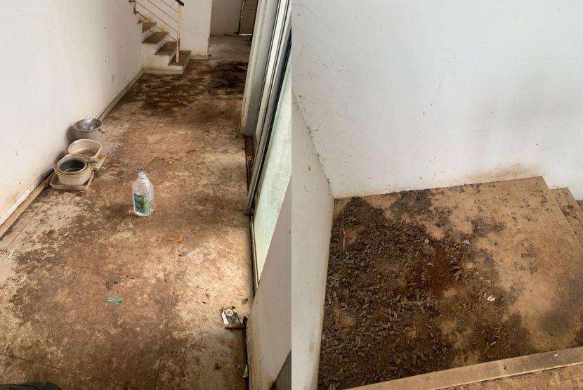 Penyewa tak bertanggungjawab, biarkan rumah penuh kotoran kucing.