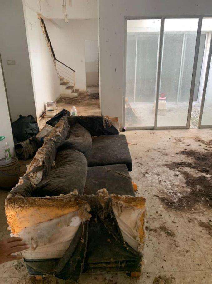 Penyewa tak bertanggungjawab, biarkan rumah penuh kotoran kucing.