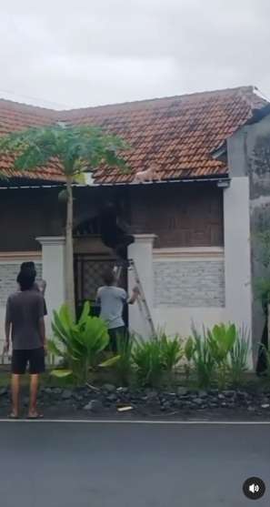 Bayi Naik ke Atas Genteng, Kok bisa?