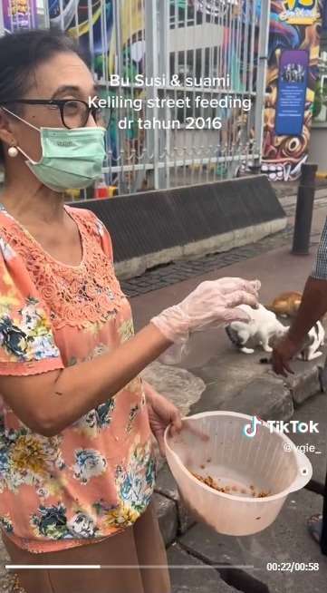 Ibu ini Tetap Selamatkan Kucing ke Rumahnya, Meski Sudah Merawat Sebanyak 70 Ekor Kucing