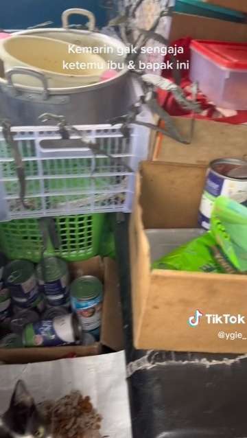 Ibu ini Tetap Selamatkan Kucing ke Rumahnya, Meski Sudah Merawat Sebanyak 70 Ekor Kucing