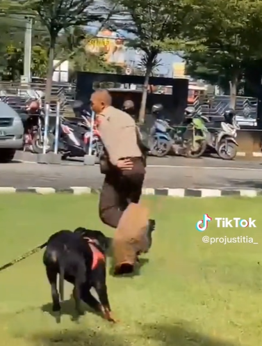 Polisi Pede Pasang Muka Sangar saat Latih Anjing, Ujungnya Malah Kabur