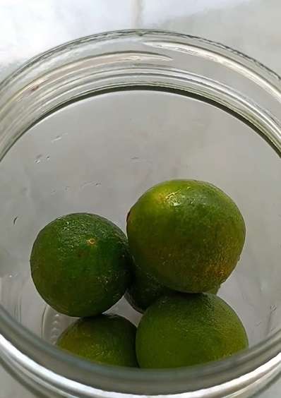 Menyimpan Jeruk Nipis