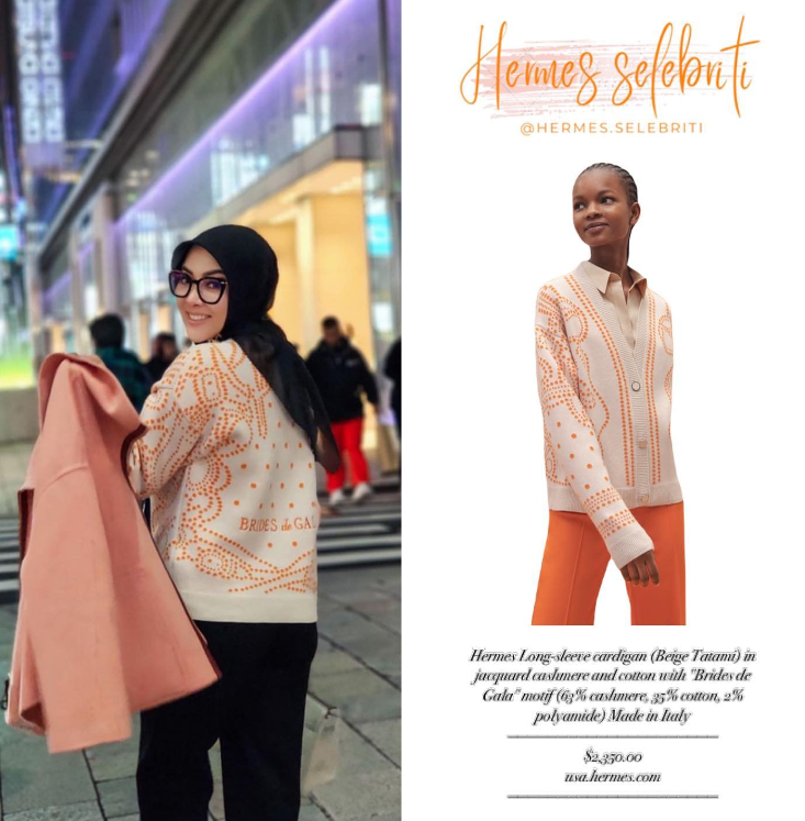 Instagram @hermes.selebriti