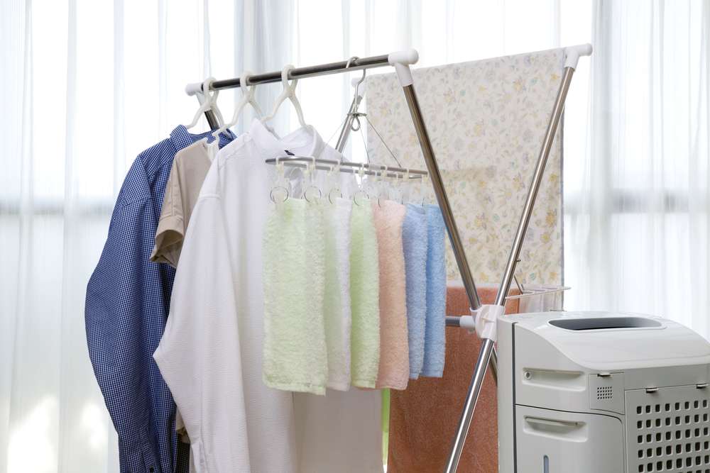 Jemuran Susah Kering, Begini Tips Mencuci Saat Musim Hujan agar Pakaian Nggak Bau Apek Jemuran Susah Kering, Begini Tips Mencuci Saat Musim Hujan agar Pakaian Nggak Bau Apek