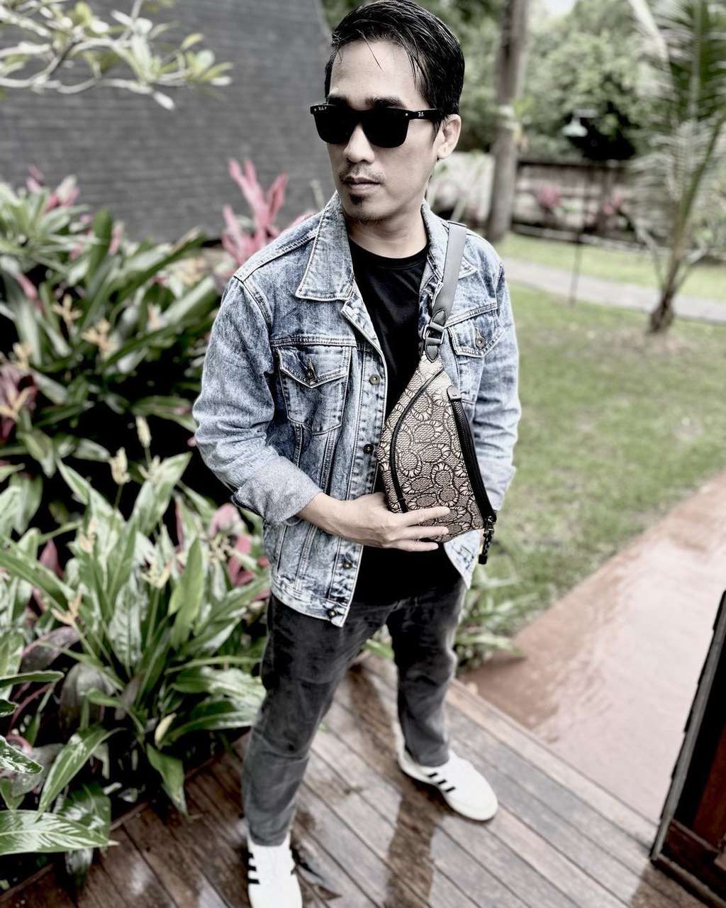 Dide vokalis Hijau Daun