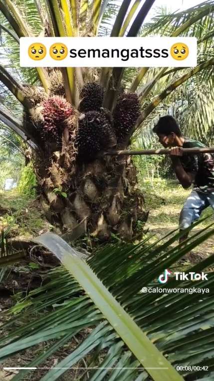 Tetap Bekerja Keras Meski Punya Keterbatasan, Pria ini Menginspirasi Warganet yang Melihatnya.