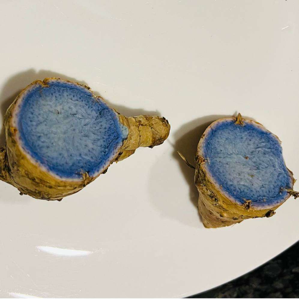Jahe biru